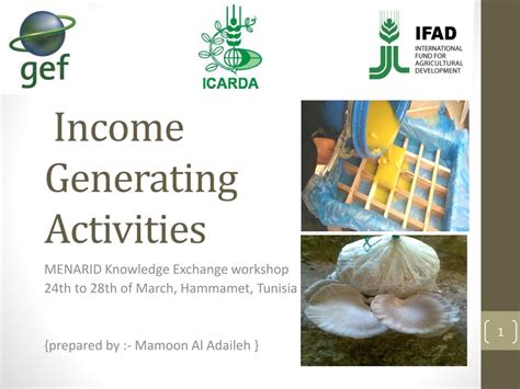 Income generating activities .